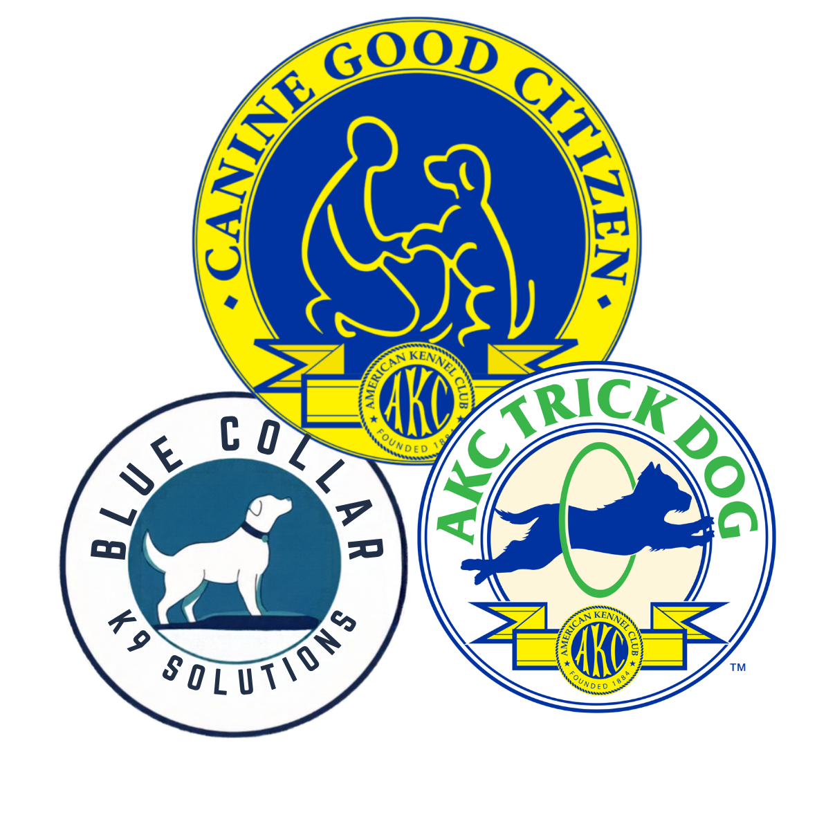 DECEMBER CGC & AKC Trick Dog Tests