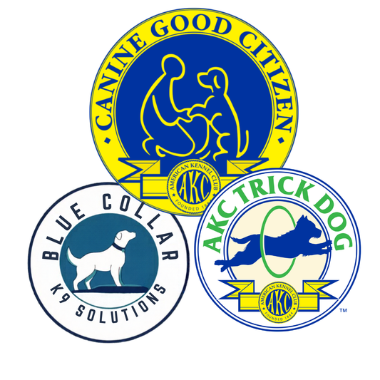 DECEMBER CGC & AKC Trick Dog Tests