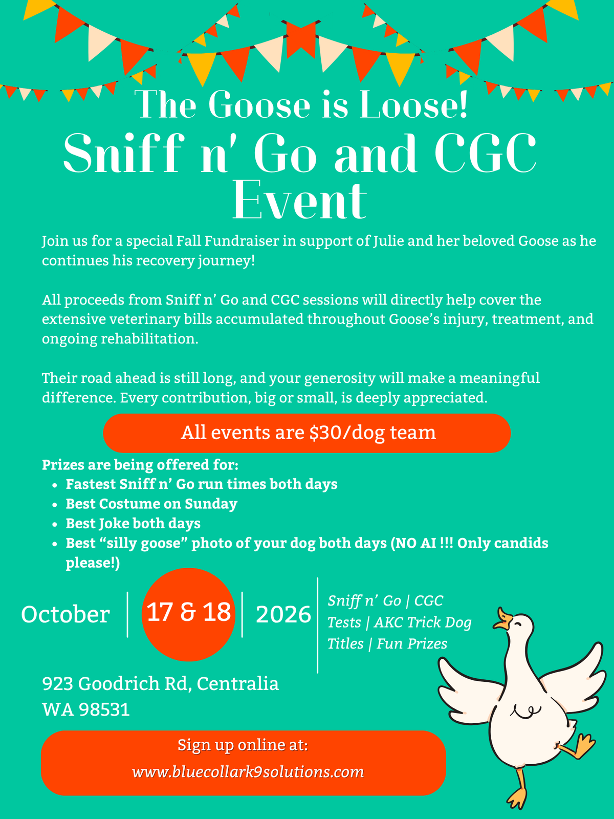 The Goose is Loose - Sniff n' Go
