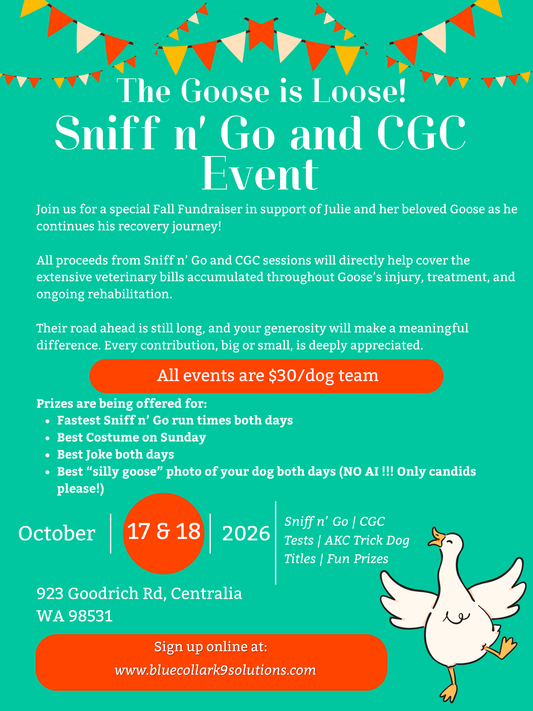 The Goose is Loose - Sniff n' Go