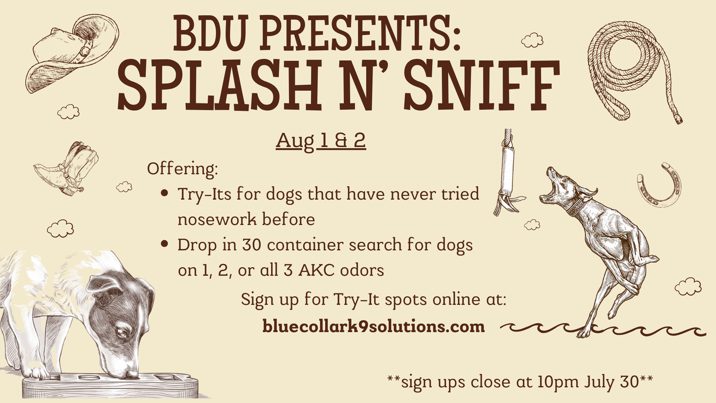 Splash N' Sniff Try-It