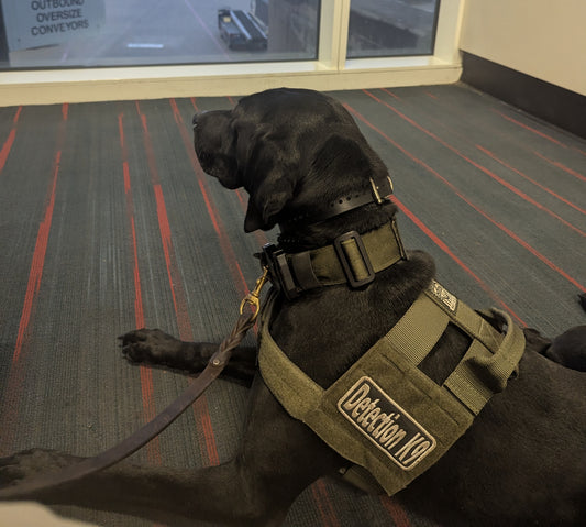 Finished Electronic Storage Device K9