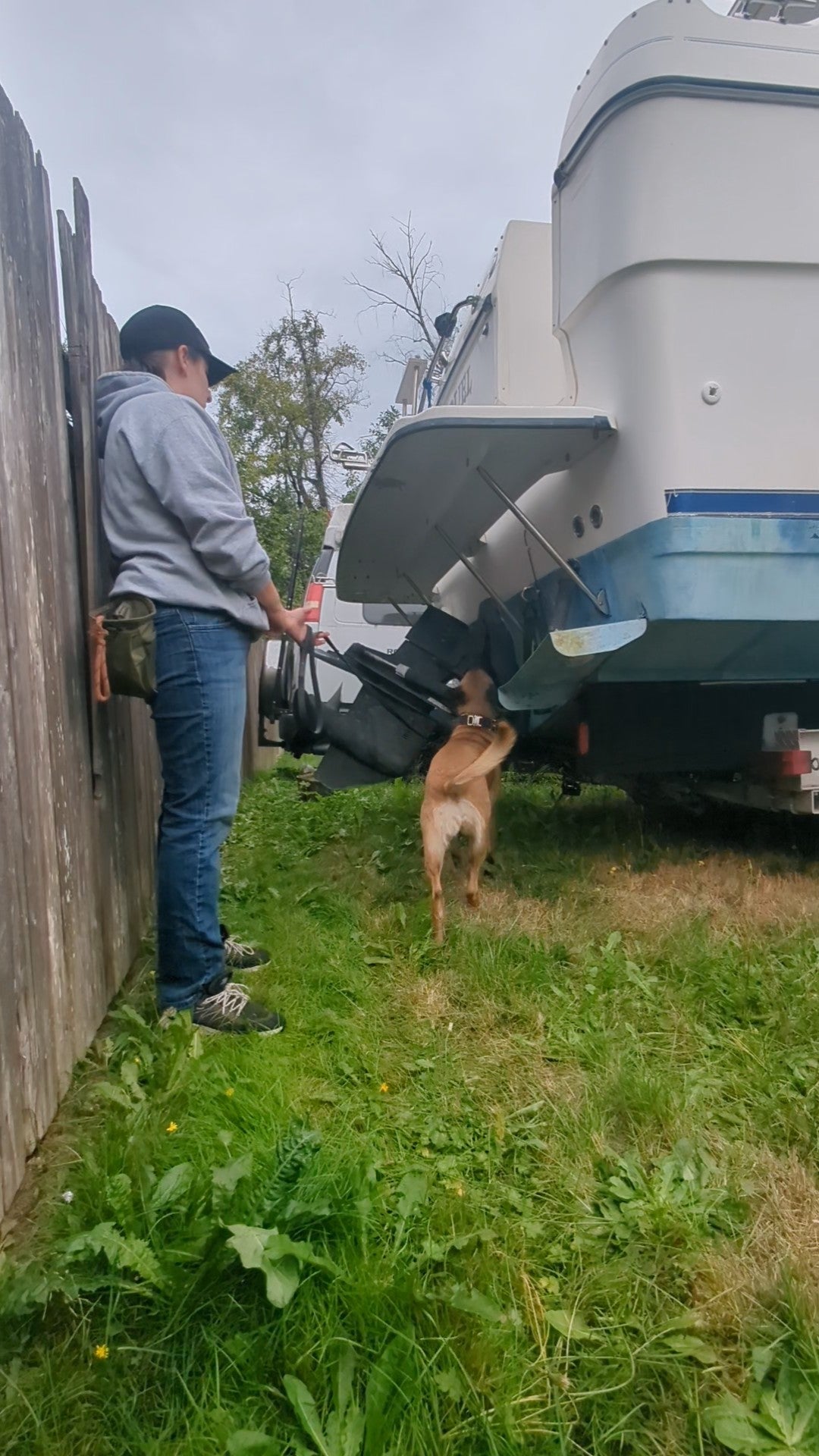 AKC or NACSW Nosework Lessons